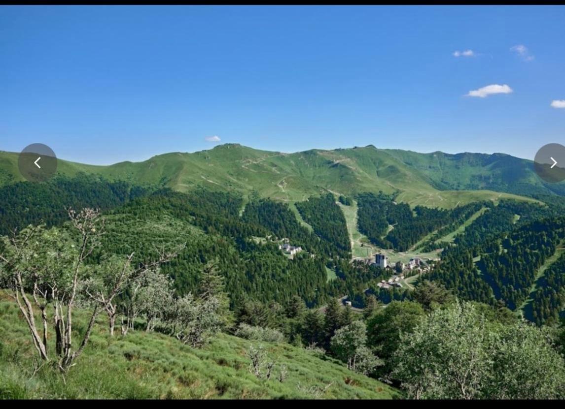 Village Montanha Lioran Saint-Jacques-des-Blats Εξωτερικό φωτογραφία